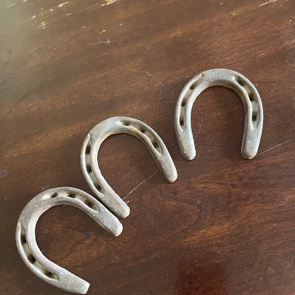 Rustic Horseshoes set of 3
